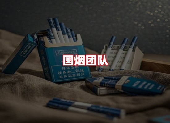 国烟团队